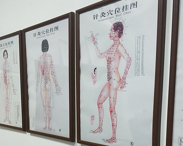 针灸穴位挂图